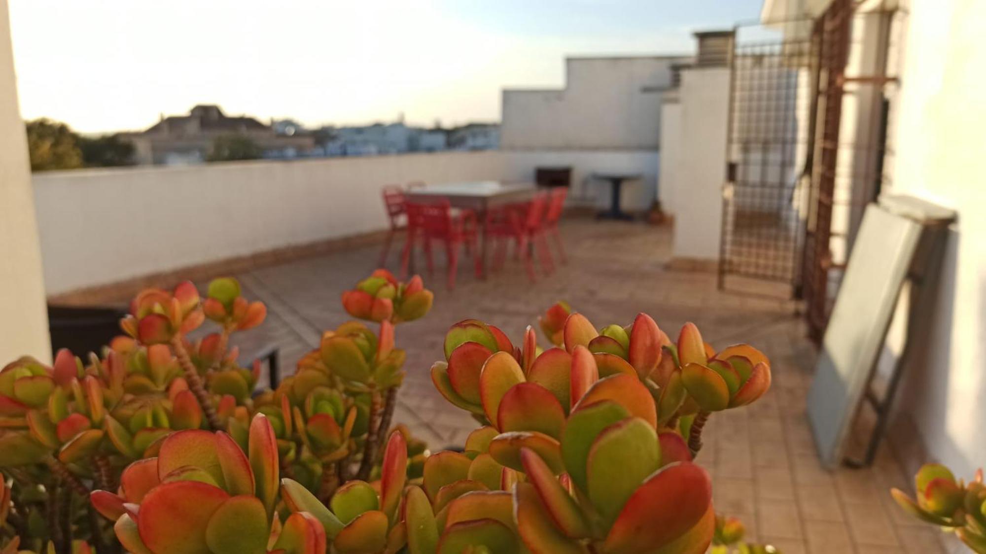 Atardeceres Surenos - Gran Terraza - Parking Jerez de la Frontera Exterior photo